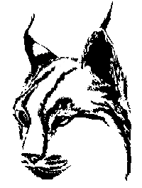 lynx-logo