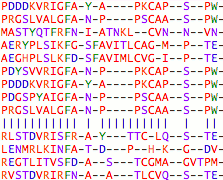grid of colored characters