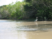 2004, January, Miami